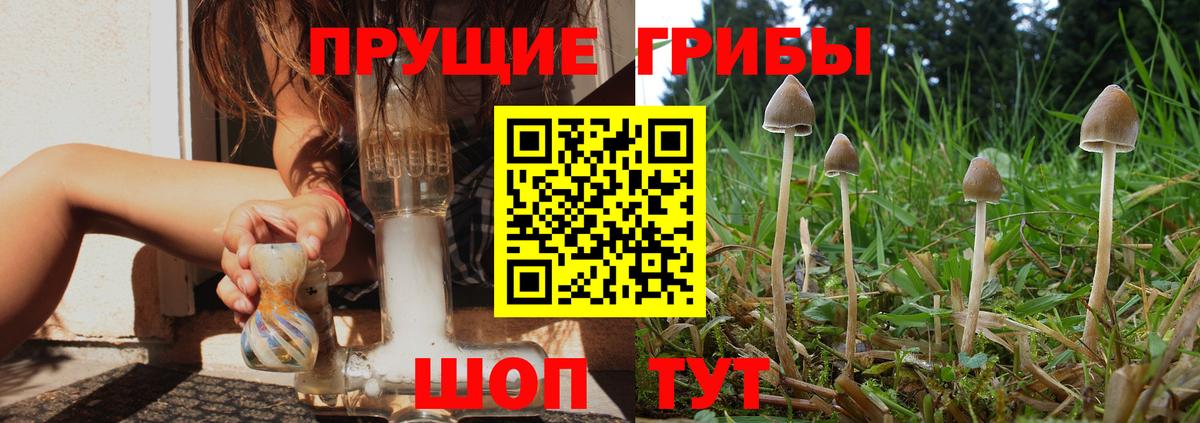 Галлюциногенные грибы ЛСД Уварово